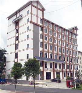 巴馬國際養(yǎng)生旅游學(xué)校實訓(xùn)大樓建成交工