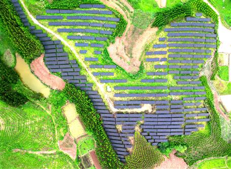 【錨定目標 奮力沖刺】冶建基礎(chǔ)分公司寧明縣光伏項目有序推進