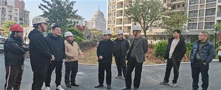 蒙勝益到桂南分公司項目調(diào)研指導(dǎo)工作